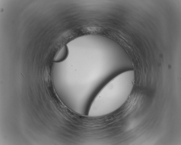 X0000063470651200601200956