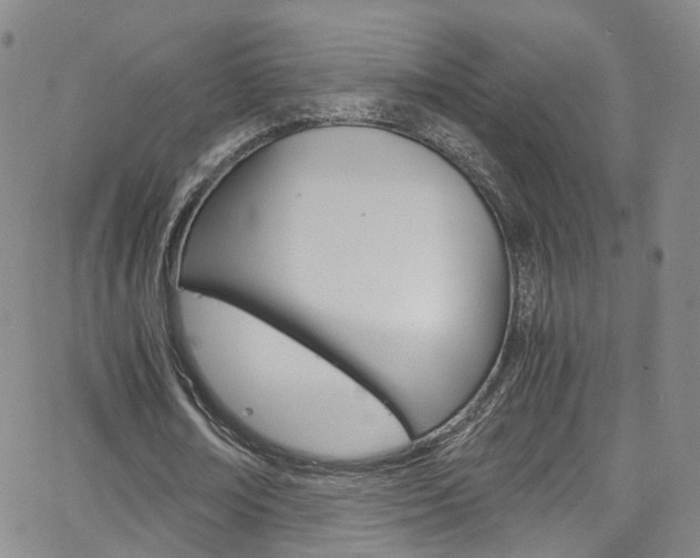 X0000063470674200601200956