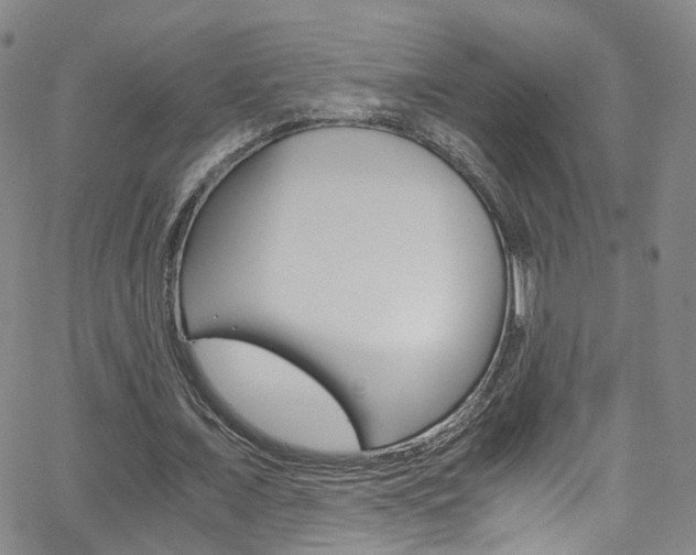 X0000063470675200601200956