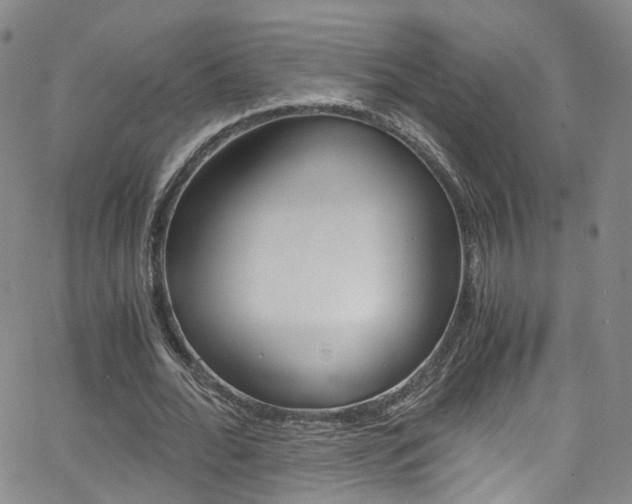 X0000063470676200601200956