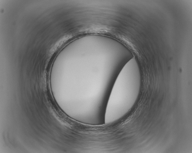 X0000063470678200601200956
