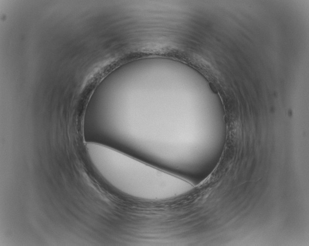 X0000063470688200601200956