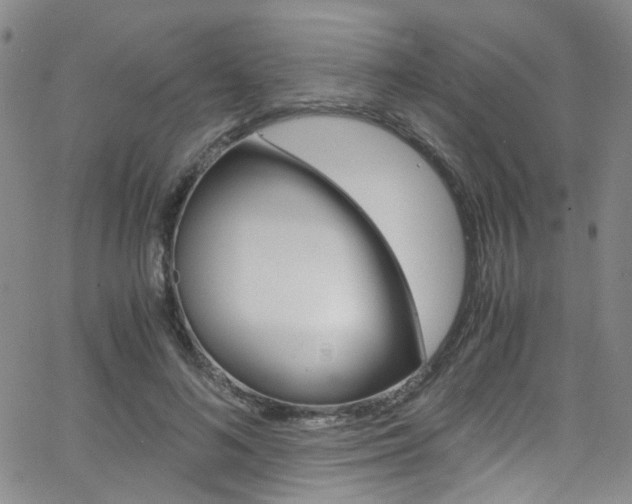 X0000063470692200601200955