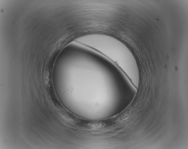X0000063470693200601200955
