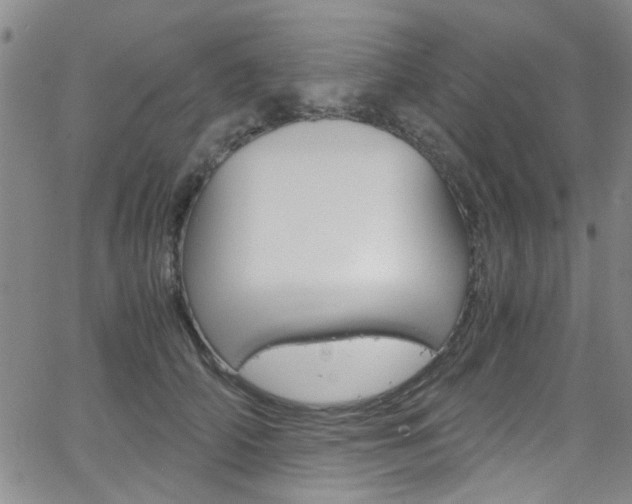 X0000063470706200601200955