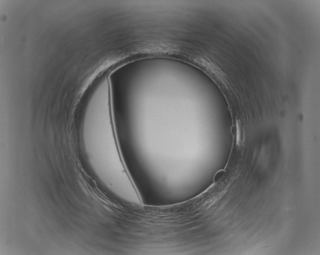 X0000063470723200601200954