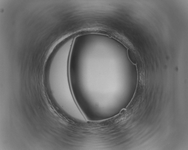 X0000063470724200601200954