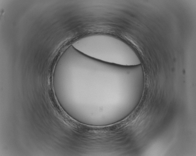X0000063470733200601200954
