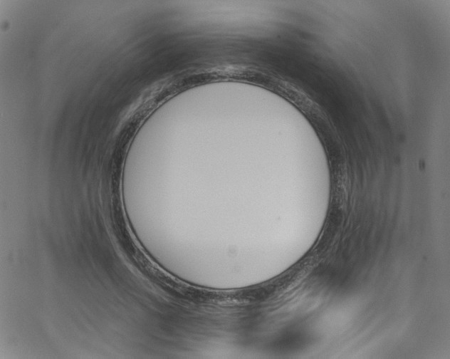 X0000063470734200601200954
