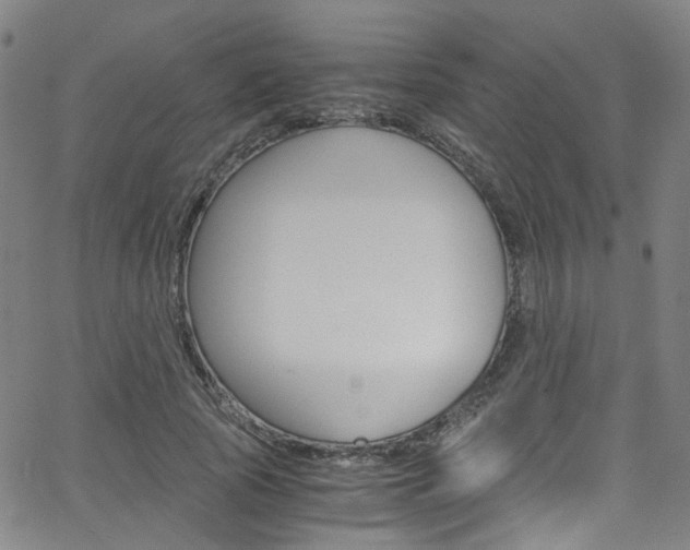 X0000063470737200601200954