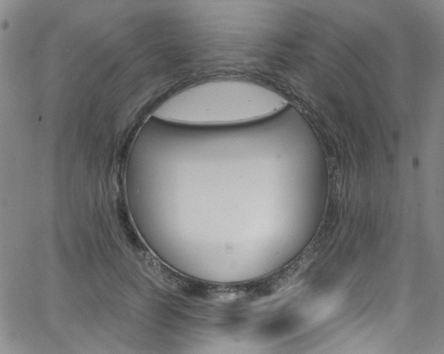 X0000063470746200601200955