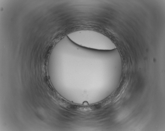 X0000063470749200601200955