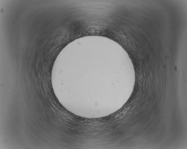 X0000063470769200601200954