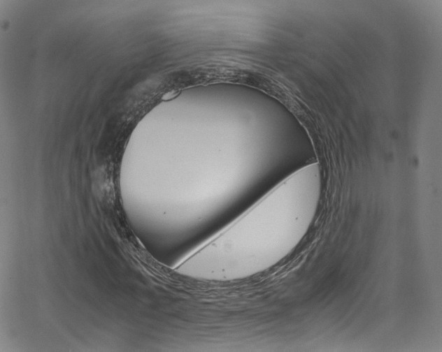 X0000063470771200601200954