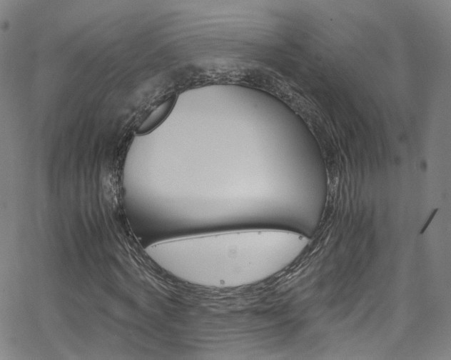 X0000063470772200601200954