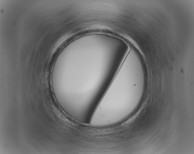 X0000063470783200601200954
