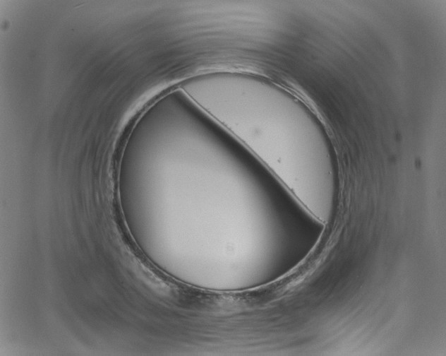 X0000063470787200601200954