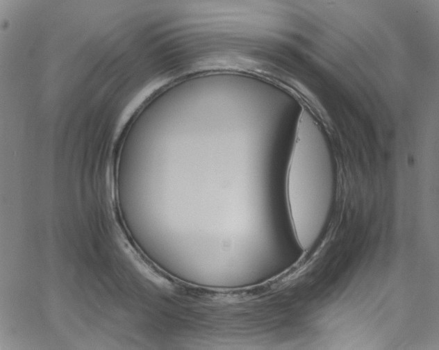 X0000063470796200601200954