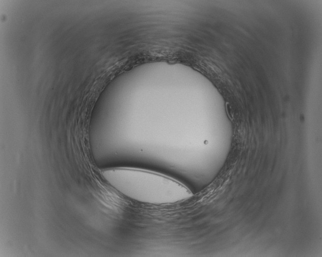 X0000063470817200601200953