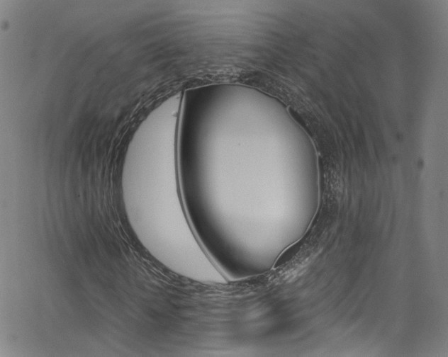 X0000063470818200601200953