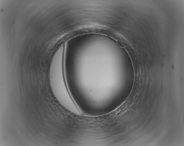 X0000063470822200601200953