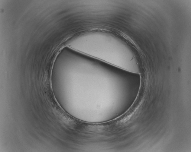 X0000063470825200601200953