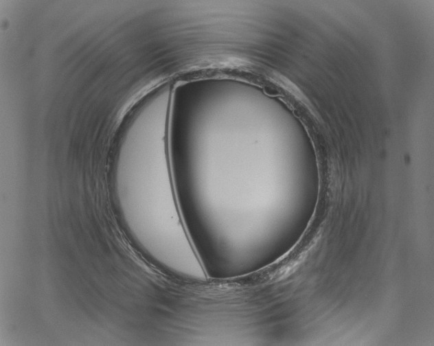 X0000063470826200601200953