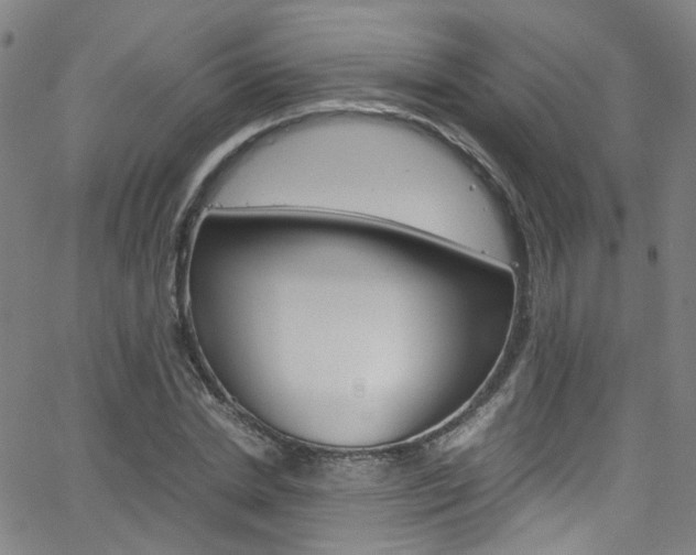 X0000063470830200601200953