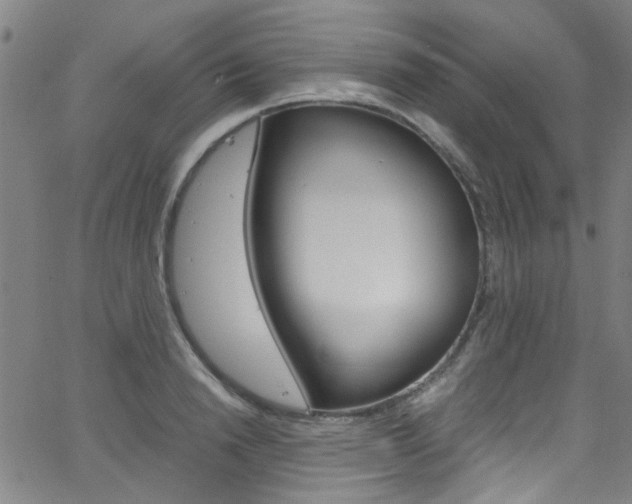 X0000063470846200601200953