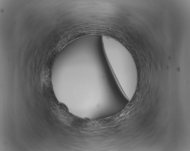 X0000063470867200601200953