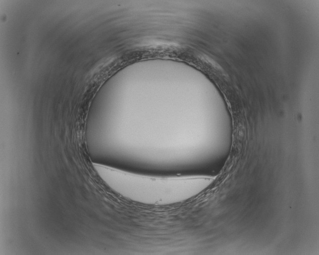 X0000063470869200601200953