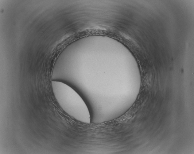 X0000063470870200601200953