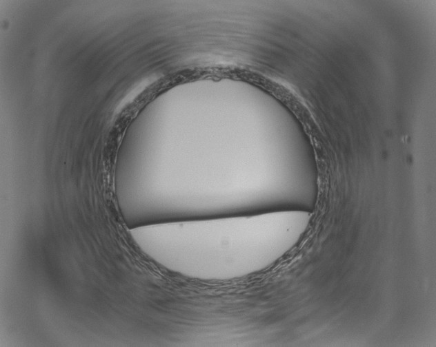 X0000063470871200601200953