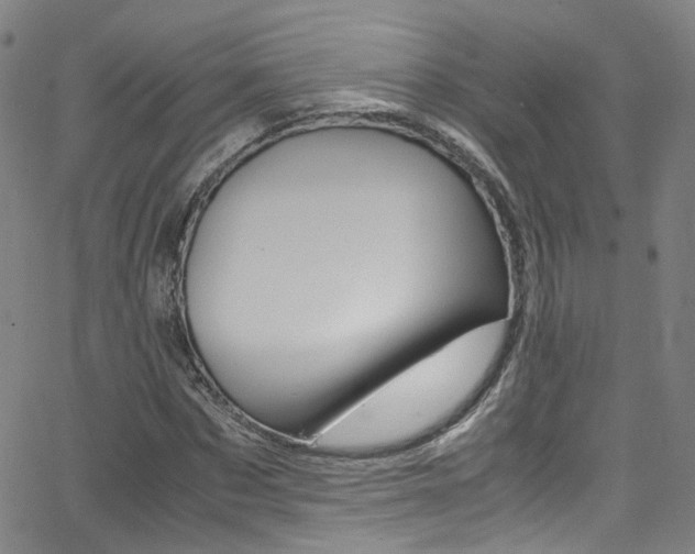 X0000063470873200601200952