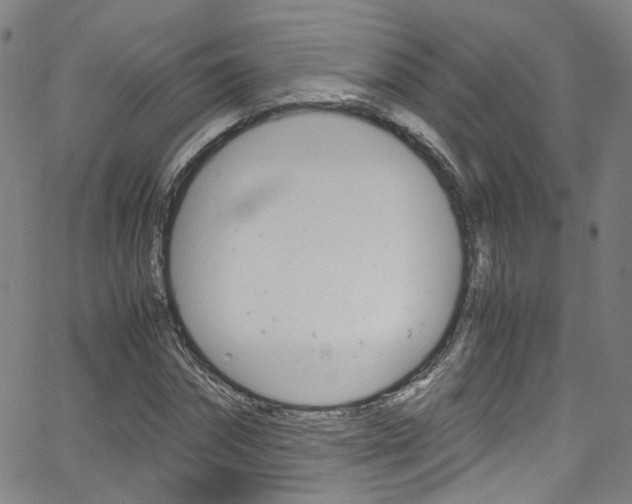 X0000063470874200601200952