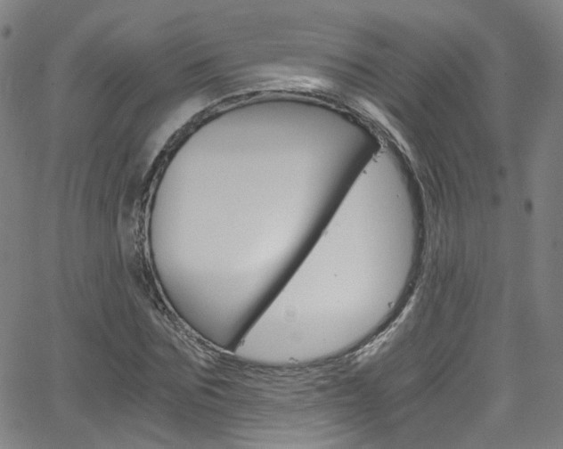 X0000063470875200601200952