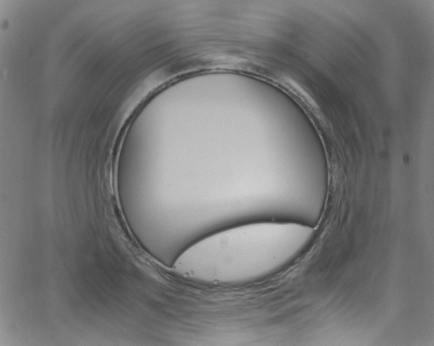 X0000063470891200601200952