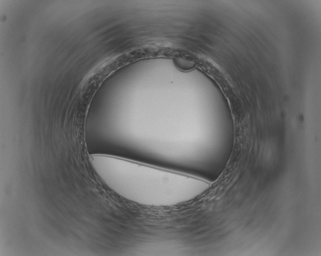 X0000063470919200601200951