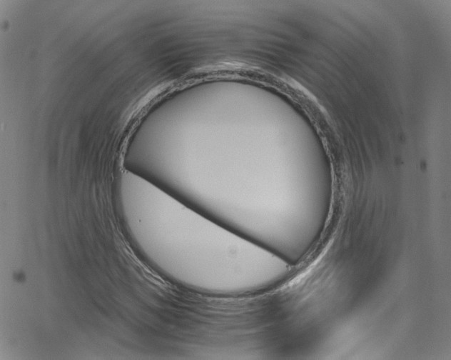X0000063470921200601200951
