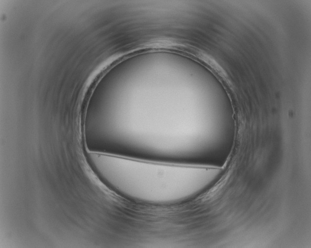 X0000063470939200601200952