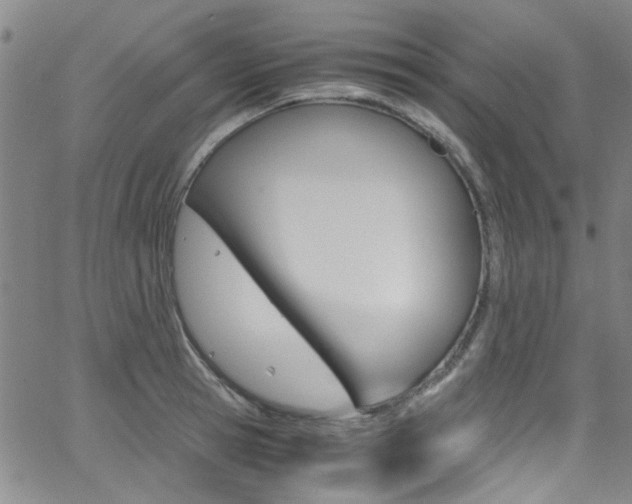 X0000063470945200601200952