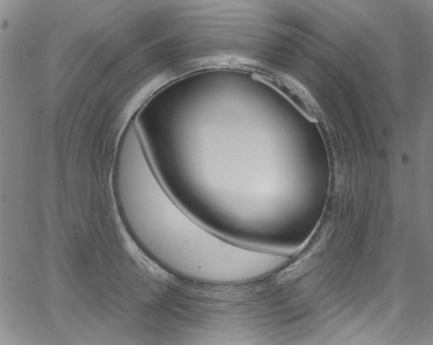 X0000063470946200601200952