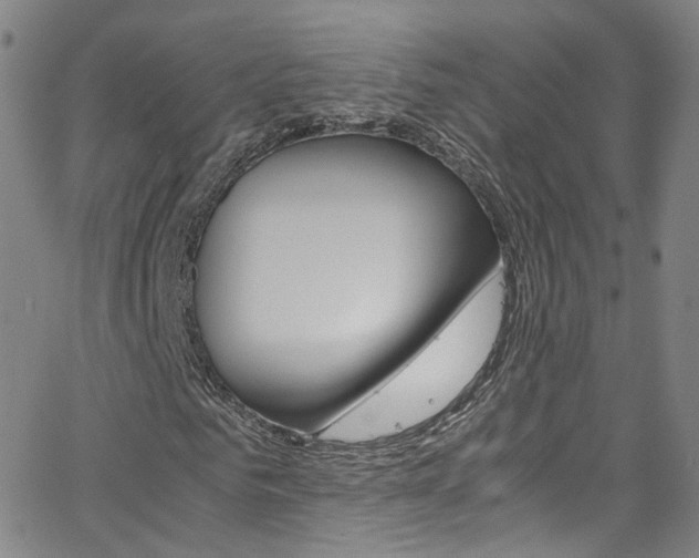 X0000063470961200601200951