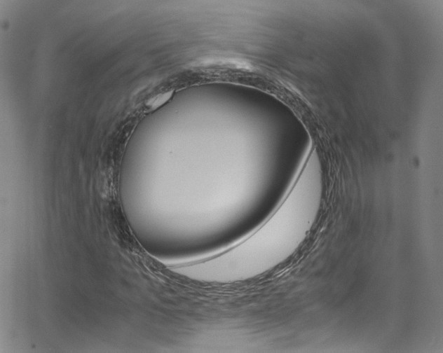 X0000063470965200601200951