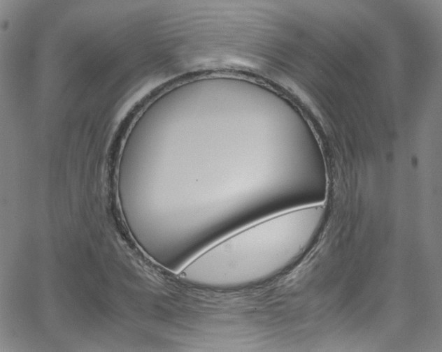 X0000063470975200601200951