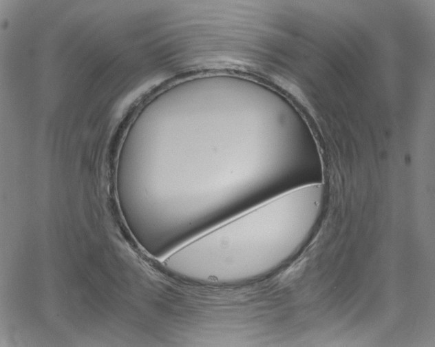 X0000063470979200601200951