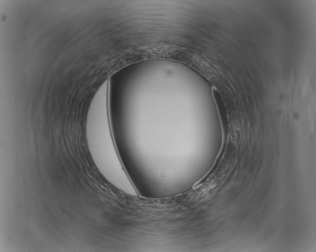 X0000063471010200601200950