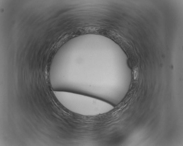X0000063471011200601200950