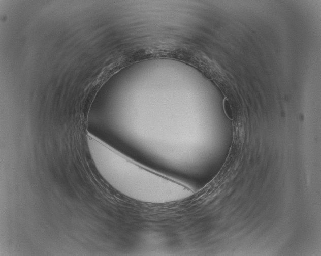 X0000063471012200601200950