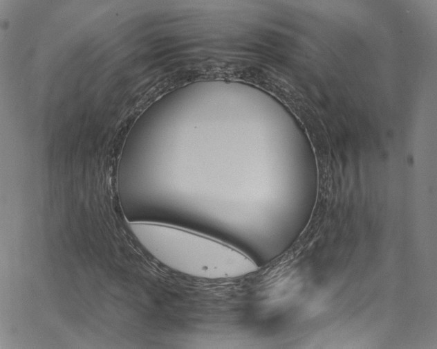 X0000063471013200601200950